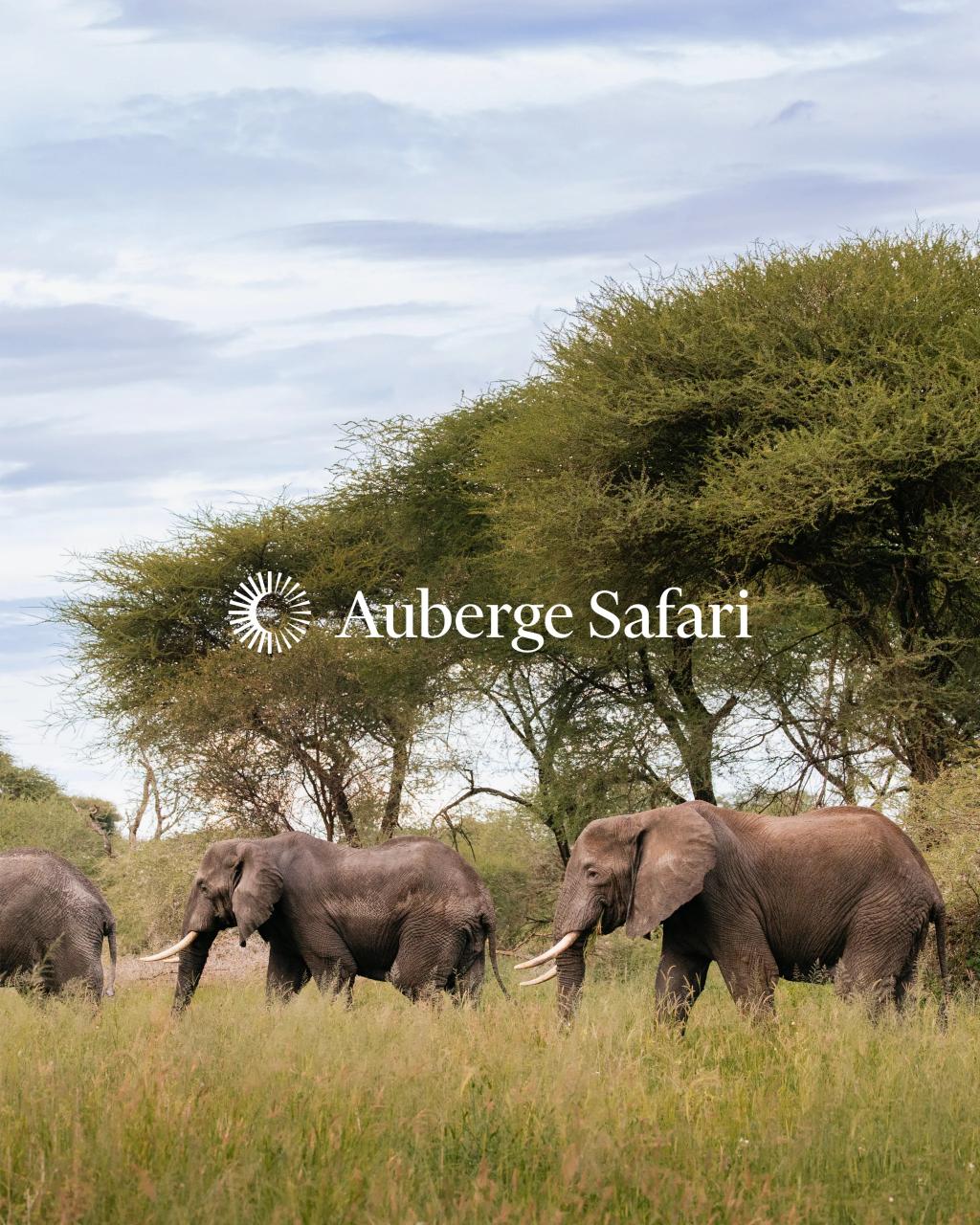 Auberge Collection Announces Auberge Safari - The Friedkin Group